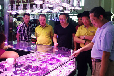 中国珠宝玉石首饰行业协会 推动珠宝首饰开发与销售的专业力量